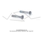 Vis de fixation (le lot de 2) d'enjoliveur chrom de rservoir  monogramme Ttes de Gaulois - M3x0.5 - Lg.15mm - pour Mobylette Motobcane / Motoconfort AV85 / AV88 / AV89 (enjoliveurs anguleux) (x2pcs)