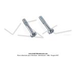 Vis de fixation (le lot de 2) d'enjoliveur chrom de rservoir  monogramme Ttes de Gaulois - M3x0.5 - Lg.15mm - pour Mobylette Motobcane / Motoconfort AV85 / AV88 / AV89 (enjoliveurs anguleux) (x2pcs)