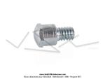 Vis de poigne de frein - Version longue - pour SoleX 3800 / 5000 / 6000 / Micron