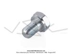 Vis de selle courte / de fourche - T.H.13 - M8x100 - pour SoleX 3300 / 3800 / 5000