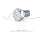 Vis de selle courte / de fourche - T.H.13 - M8x100 - pour SoleX 3300 / 3800 / 5000
