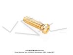 Vis de pompe  essence SoleX Ancien Modle (laiton)