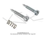 Vis de ralenti de carburateur + Ressort pour carburateurs Dell'Orto SHA 10 / SHA 12 / SHA 13 / SHA 14 / SHA 15 / SHA 16 (Kit)