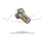 Vis de fixation de glissire moteur - T.H.13 pour SoleX