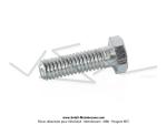Vis de carter longue / de glissire moteur - T.H.9 - pour SoleX