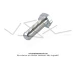 Vis de carter longue / de glissire moteur - T.H.9 - pour SoleX