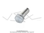 Vis de carter longue / de glissire moteur - T.H.9 - pour SoleX