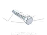 Vis de pompe  essence et de bobines M4x20 pour SoleX 3800 Hongrois / Black'n Roll
