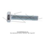 Vis de pompe  essence et de bobines M4x20 pour SoleX 3800 Hongrois / Black'n Roll