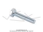 Vis de pompe  essence et de bobines M4x20 pour SoleX 3800 Hongrois / Black'n Roll