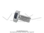 Vis M4x0,70 - Acier zingu