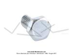 Vis courte 6x100 - Tte hexagonale 9mm - pour SoleX
