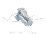 Vis courte 6x100 - Tte hexagonale 9mm - pour SoleX