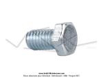 Vis courte 6x100 - Tte hexagonale 9mm - pour SoleX