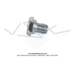 Vis de bquille (T.H.13) pour SoleX