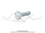 Vis de fixation du ressort de selle pour SoleX 3300 / 3800 / 5000
