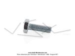 Vis de fixation du ressort de selle pour SoleX 3300 / 3800 / 5000