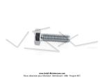 Vis de carter longue / de glissire moteur  tte hexag. de 10mm pour SoleX 3800 MBK / Hongrois