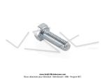 Vis de carter longue / de glissire moteur  tte hexag. de 10mm pour SoleX 3800 MBK / Hongrois