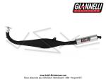 Pot d'chappement Giannelli Black Gun - Noir mat / Cartouche Alu pour Peugeot 103 SPX / RCX