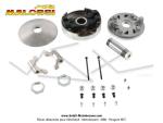 Variateur Malossi Variotop - Montage invers - Grande plage 115mm Comptition - Sans fonction embrayage - pour Mobylette Motobcane / MBK 51 (AV10)