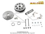 Variateur Malossi Variotop - Montage normal - Grande plage 115mm Comptition - Sans Embrayage - pour Peugeot 103 SP / MVL / Vogue