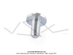 Vis de carter latral 5x0.8 x lg.10 pour Peugeot 102 / 103