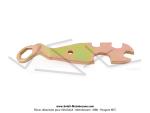 Cl plate mtal pour crous de vlo (5 tailles) - PAVSE France