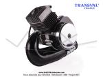 Moteur complet AV10 avec variateur Mobymatic - TRANSVAL - pour Mobylette Motobcane / MBK 51 / 41 / 881