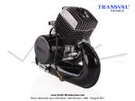 Moteur complet AV10 avec variateur Mobymatic - TRANSVAL - pour Mobylette Motobcane / MBK 51 / 41 / 881