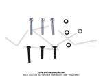 Allumage KRD Analogique - Rotor interne - avec clairage - pour Mobylette Motobcane / MBK 51 (AV10)