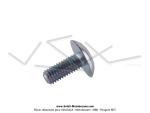 Vis de carters latraux - M5x0.8 - Lg. 12mm - fente large - pour Peugeot 103