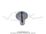 Vis de carters latraux - M5x0.8 - Lg. 12mm - fente large - pour Peugeot 103