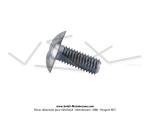 Vis de carters latraux - M5x0.8 - Lg. 12mm - fente large - pour Peugeot 103