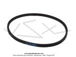 Courroie lisse 14x800 type D19 pour Peugeot BB CT RS