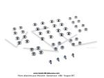 Contrepoids de variateur GIRAUDO Comptition (Jeu de 44 pcs)