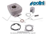 Cylindre / Piston (Kit) Polini - Ø40,2mm - 50cc - T6 - "W" - pour Peugeot 103 / 104 / GT10 / SPX / RCX / FOX / Honda Wallaroo