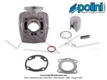 Cylindre / Piston (Kit) Polini - 40,2mm - 50cc - T6 -  W  - pour Peugeot 103 / 104 / GT10 / SPX / RCX / FOX / Honda Wallaroo