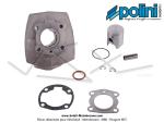 Cylindre / Piston (Kit) Polini - 40,2mm - 50cc - T6 -  W  - pour Peugeot 103 / 104 / GT10 / SPX / RCX / FOX / Honda Wallaroo