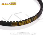 Courroie crant�e Malossi Special Belt (15,5x8,5x1163 mm) pour Peugeot 103 FOX / FXR