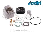 Cylindre / Piston (Kit) Polini - �40,2mm - 50cc - pour Peugeot 103 SP / SPX / RCX Liquide Lc H2O