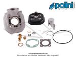 Cylindre / Piston (Kit) Polini - �40,2mm - 50cc - pour Peugeot 103 SP / SPX / RCX Liquide Lc H2O