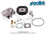 Cylindre / Piston (Kit) Polini - �40,2mm - 50cc - pour Peugeot 103 SP / SPX / RCX Liquide Lc H2O