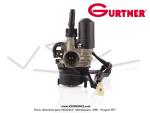 Carburateur Gurtner PYA 378