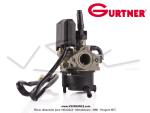 Carburateur Gurtner PYA 378