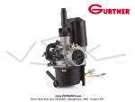 Carburateur Gurtner PAA 357
