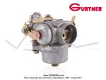 Carburateur Z14.5 157P pour Motostandard (Gutbrod?)