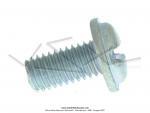 Vis de carter Mobylette Motobcane Motoconfort M5x0.8/lg.8