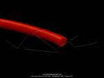 Fil bougie - Rouge - 7mm - PAVSE France (par 0.5 mtre)