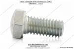 Vis de capot filtre  air bombe pour SoleX 2200 / 3300 / 3800 / 5000 (...)